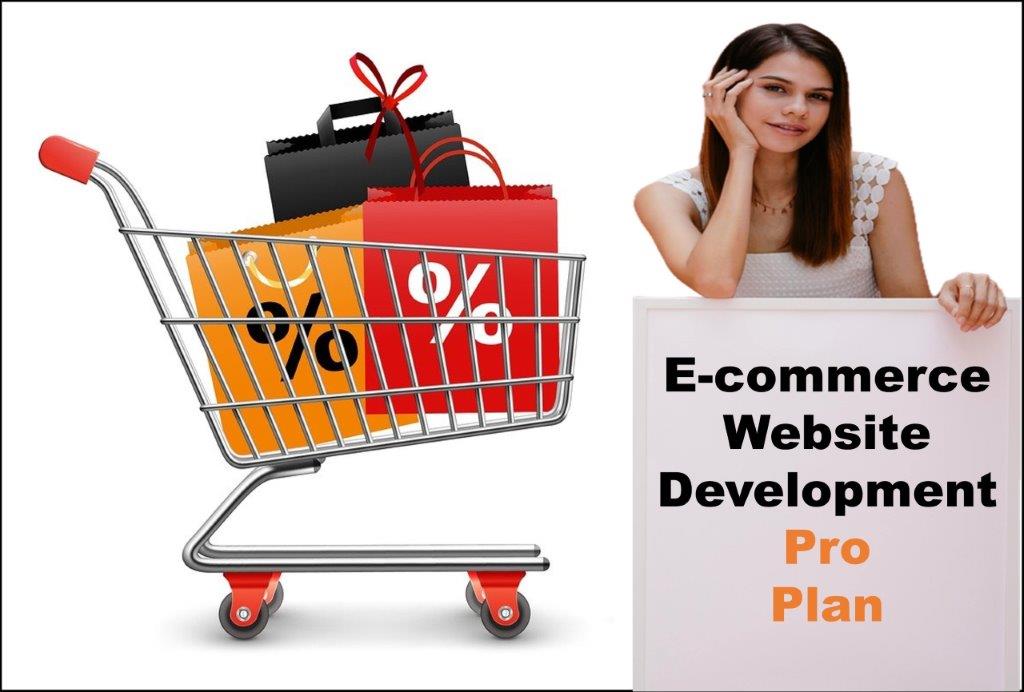 professional ecommerce website development agency in Harrisburg Pennsylvania