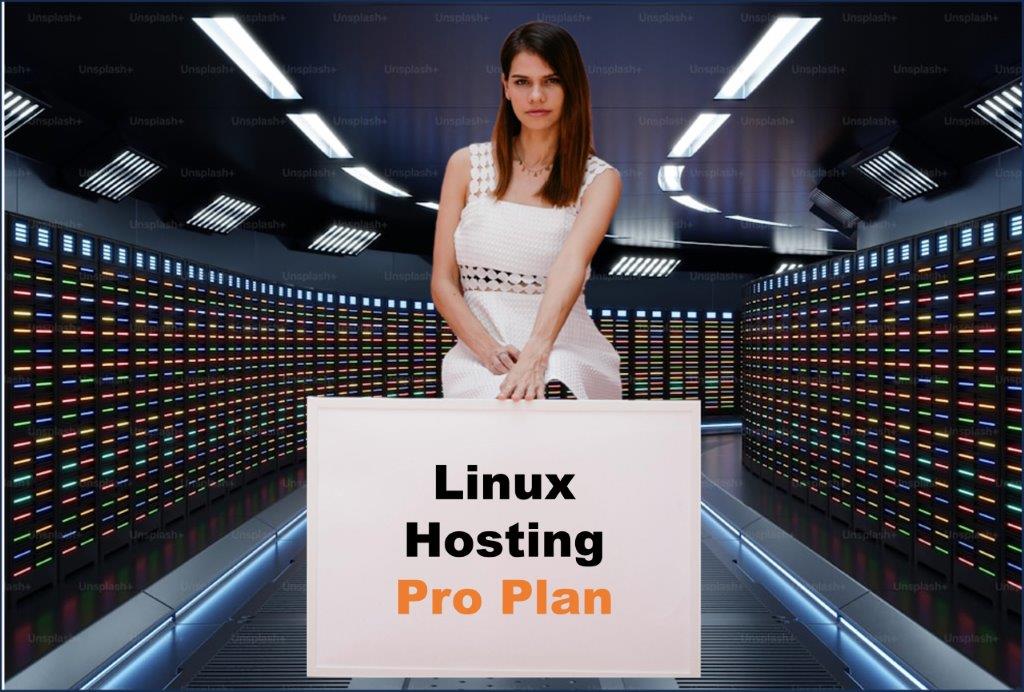 linux hosting windows hosting provider in Harrisburg Pennsylvania