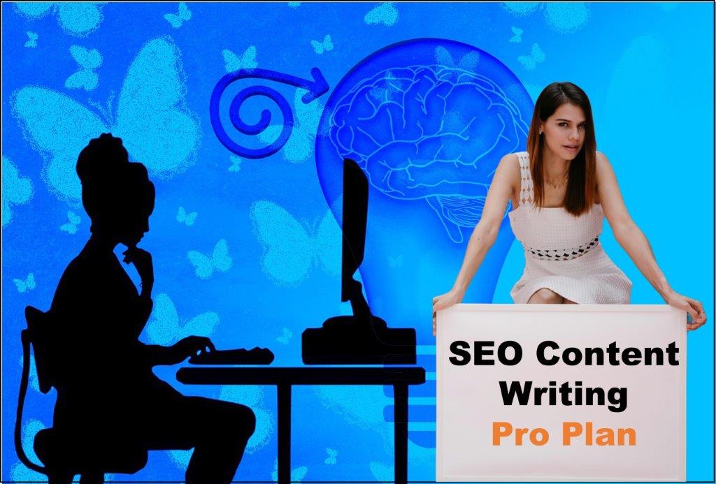 seo content writing agency Harrisburg Pennsylvania